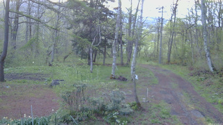 長野県菅平高原 ゆたか山荘 坂上 2026/05/09 05:00