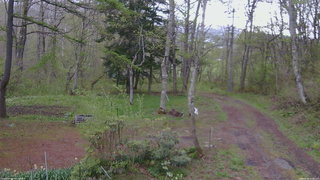 長野県菅平高原 ゆたか山荘 坂上 2026/05/09 07:00