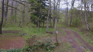 長野県菅平高原 ゆたか山荘 坂上 2026/05/09 07:15
