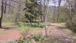 長野県菅平高原 ゆたか山荘 坂上 2026/05/09 12:30