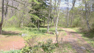 長野県菅平高原 ゆたか山荘 坂上 2026/05/09 13:00