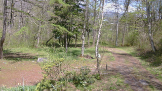 長野県菅平高原 ゆたか山荘 坂上 2026/05/09 13:15