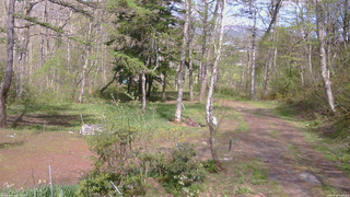 長野県菅平高原 ゆたか山荘 坂上 2026/05/09 14:00