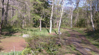 長野県菅平高原 ゆたか山荘 坂上 2026/05/09 15:15