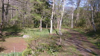 長野県菅平高原 ゆたか山荘 坂上 2026/05/09 15:30
