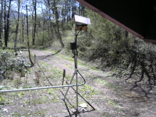 長野県菅平高原 ゆたか山荘 南側 2026/05/10 09:45