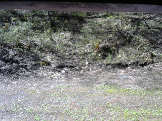 長野県菅平高原 ゆたか山荘 東側(坂下) 2026/05/10 08:15