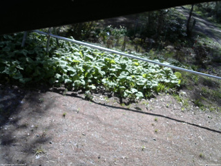 長野県菅平高原 ゆたか山荘 駐車場 2026/05/10 08:00
