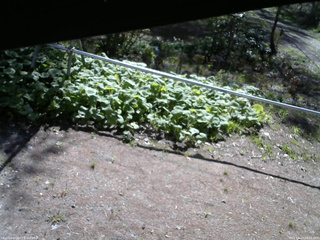 長野県菅平高原 ゆたか山荘 駐車場 2026/05/10 08:15