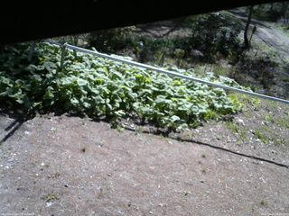 長野県菅平高原 ゆたか山荘 駐車場 2026/05/10 08:30