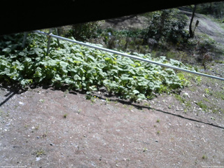 長野県菅平高原 ゆたか山荘 駐車場 2026/05/10 08:45