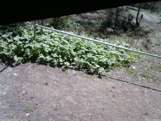 長野県菅平高原 ゆたか山荘 駐車場 2026/05/10 09:00