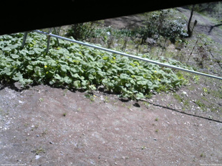 長野県菅平高原 ゆたか山荘 駐車場 2026/05/10 09:30