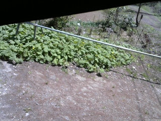 長野県菅平高原 ゆたか山荘 駐車場 2026/05/10 11:00