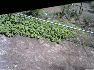 長野県菅平高原 ゆたか山荘 駐車場 2026/05/10 11:45