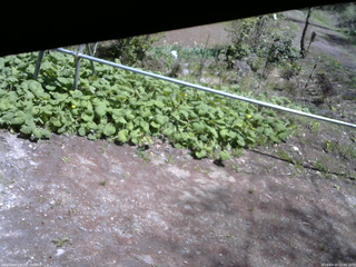 長野県菅平高原 ゆたか山荘 駐車場 2026/05/10 12:00