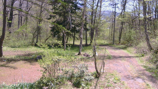 長野県菅平高原 ゆたか山荘 坂上 2026/05/10 10:45
