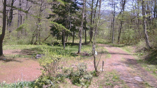 長野県菅平高原 ゆたか山荘 坂上 2026/05/10 11:45