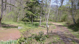 長野県菅平高原 ゆたか山荘 坂上 2026/05/10 13:15