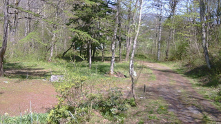 長野県菅平高原 ゆたか山荘 坂上 2026/05/10 13:30