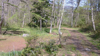 長野県菅平高原 ゆたか山荘 坂上 2026/05/10 14:00