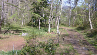 長野県菅平高原 ゆたか山荘 坂上 2026/05/10 14:15