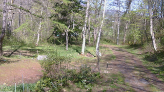 長野県菅平高原 ゆたか山荘 坂上 2026/05/10 14:30