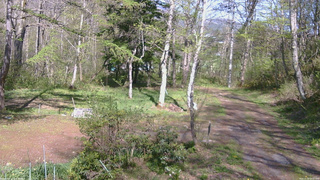 長野県菅平高原 ゆたか山荘 坂上 2026/05/10 14:45