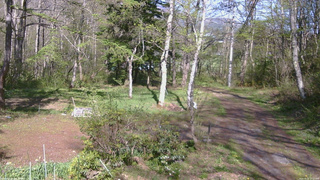 長野県菅平高原 ゆたか山荘 坂上 2026/05/10 15:15