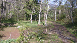 長野県菅平高原 ゆたか山荘 坂上 2026/05/10 15:30