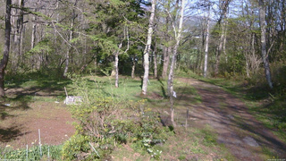 長野県菅平高原 ゆたか山荘 坂上 2026/05/10 15:45