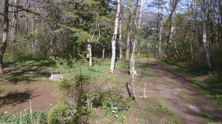 長野県菅平高原 ゆたか山荘 坂上 2026/05/10 16:15