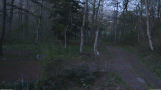 長野県菅平高原 ゆたか山荘 坂上 2026/05/10 19:00