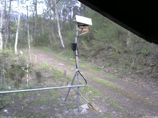 長野県菅平高原 ゆたか山荘 南側 2026/05/11 16:45