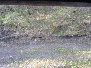 長野県菅平高原 ゆたか山荘 東側(坂下) 2026/05/11 06:15