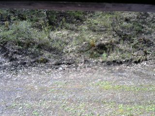 長野県菅平高原 ゆたか山荘 東側(坂下) 2026/05/11 08:00