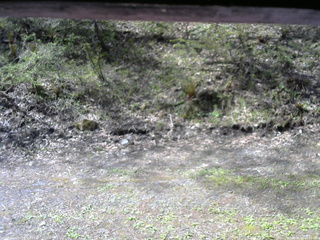 長野県菅平高原 ゆたか山荘 東側(坂下) 2026/05/11 08:30