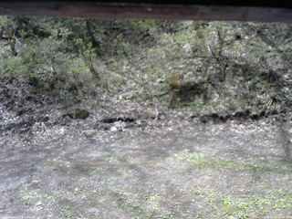 長野県菅平高原 ゆたか山荘 東側(坂下) 2026/05/11 10:00