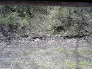 長野県菅平高原 ゆたか山荘 東側(坂下) 2026/05/11 10:15
