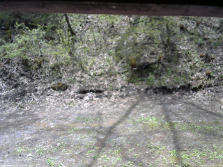 長野県菅平高原 ゆたか山荘 東側(坂下) 2026/05/11 10:45