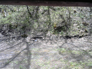 長野県菅平高原 ゆたか山荘 東側(坂下) 2026/05/11 11:45