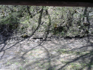 長野県菅平高原 ゆたか山荘 東側(坂下) 2026/05/11 12:15