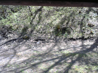 長野県菅平高原 ゆたか山荘 東側(坂下) 2026/05/11 12:45