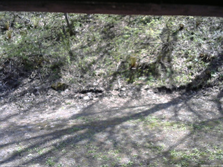 長野県菅平高原 ゆたか山荘 東側(坂下) 2026/05/11 13:15