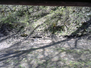 長野県菅平高原 ゆたか山荘 東側(坂下) 2026/05/11 13:30