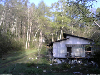 長野県菅平高原 ゆたか山荘 西側(坂上) 2026/05/11 05:45