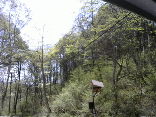長野県菅平高原 ゆたか山荘 温度計 2026/05/11 09:15