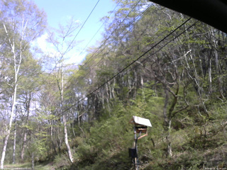 長野県菅平高原 ゆたか山荘 温度計 2026/05/11 14:30