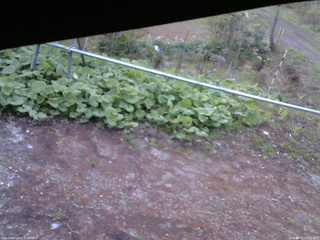 長野県菅平高原 ゆたか山荘 駐車場 2026/05/11 05:15