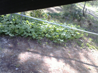 長野県菅平高原 ゆたか山荘 駐車場 2026/05/11 06:45